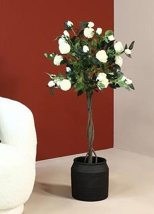 Дерево роза на штамбе белая 120 см2 фото