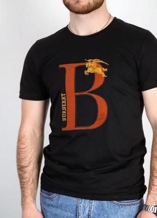 Чоловіча футболка burberri