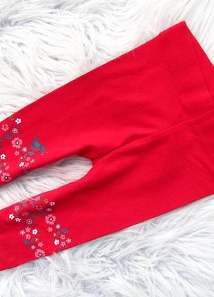 Лосины штаны брюки nutmeg