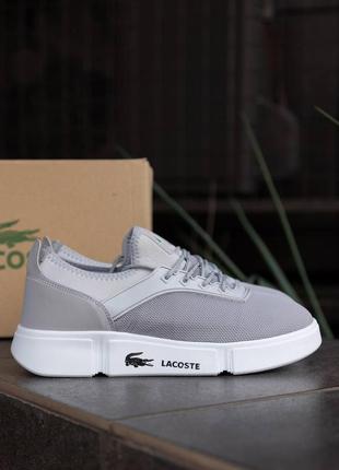 Кросівки lacoste silver3 фото