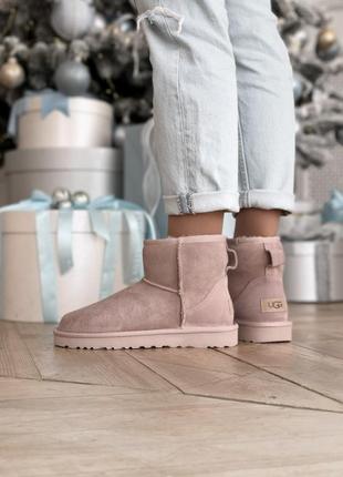 Сапоги женские ugg уги4 фото