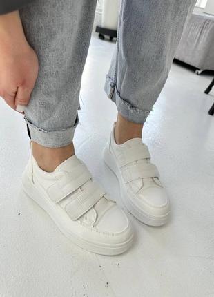 Кеди