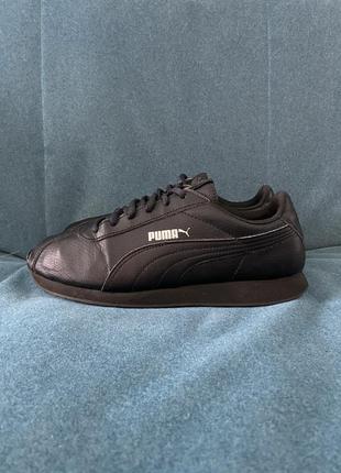 Puma