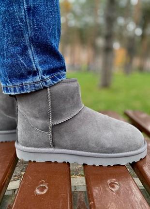 Жіночі сірі уггі ugg classic mini gray
