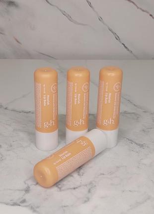 G&h goodness & health™ живильний бальзам для губ, amway, эмвей, амвей