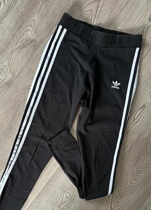 Лосини adidas