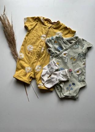 Боді, пісочники носочки