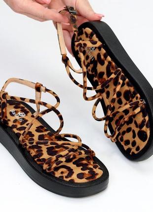 Тигровые босоножки сандалии тонкие ремешки квадратный носок 36-392 фото