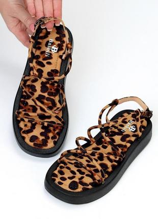Тигровые босоножки сандалии тонкие ремешки квадратный носок 36-391 фото