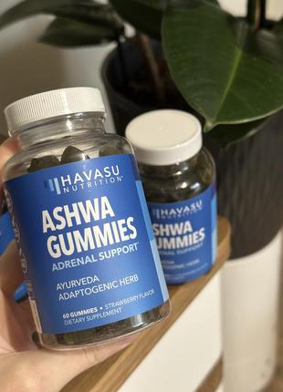 Ашваганда havesu nutrition, ashwa gummies, 60 жевательных мармеладок