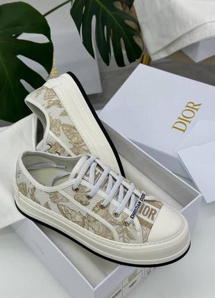 Кеди dior