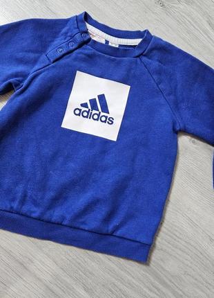 Кофта adidas 2