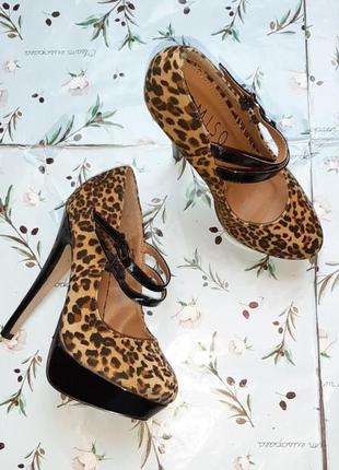 🎁1+1=3 леопардовый принт туфли на высоком каблуке miso, размер 36