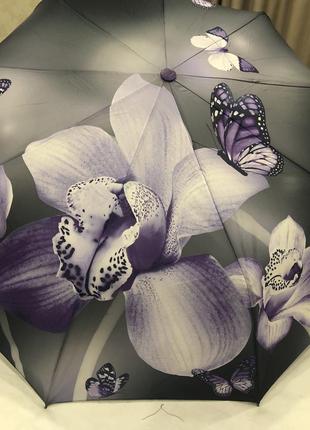 Зонты орхидея