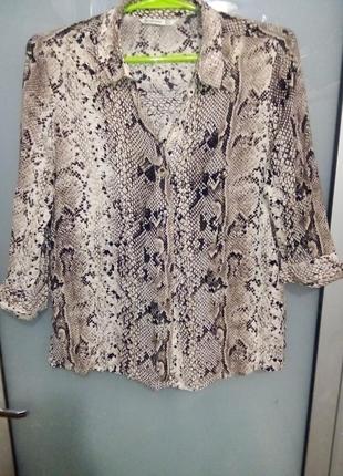 Блуза женская змеиный принт 🐍