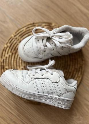 Кроссовки, кеды