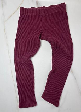 Бордовые лосины 92-98 размер 3542