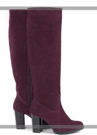 Високі чоботи натуральна замша