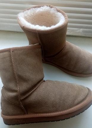 Оригинал. 24 см. ботинки угги ugg australia