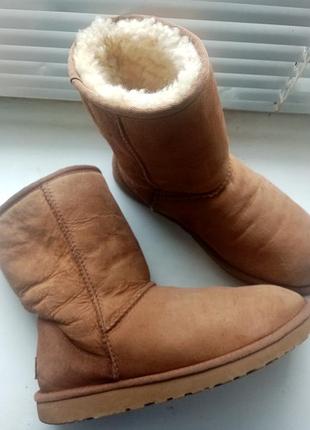 Оригинал. 24 см. ботинки уги ugg classic short
