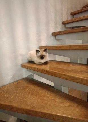 Шубка