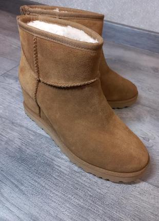 Новые ugg