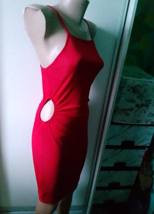 Сукня на брителях в рубчик