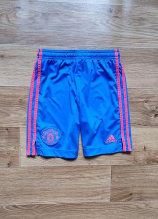 Класні спортивні шорти