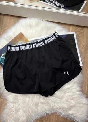 Шорты puma