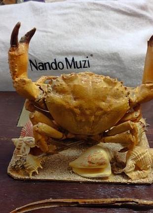 Подарунки з морів,мушлі.