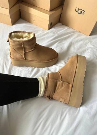 Мини угги на платформе ugg mini platform 5