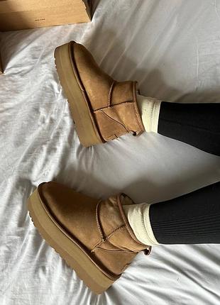 Мини угги на платформе ugg mini platform 6