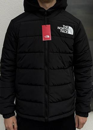 Куртка пуховик the north face 700