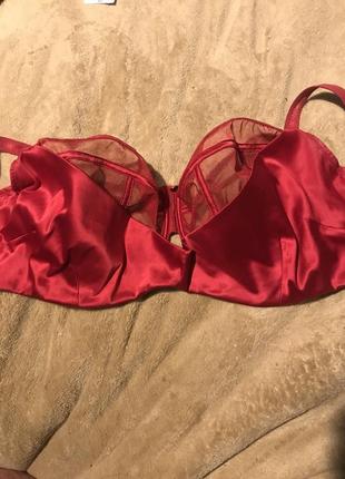 Бюстгалтер