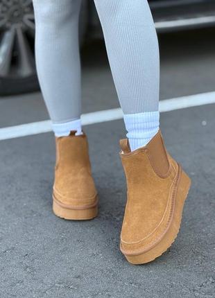 Черевики арт wt0254