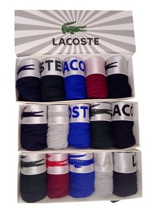 Мужские боксеры lacoste серебряная резинка