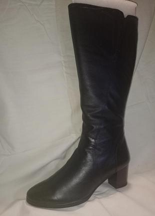 Женские сапоги