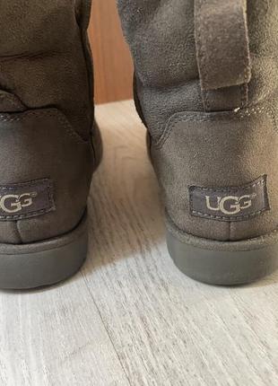 Сапоги ugg 3