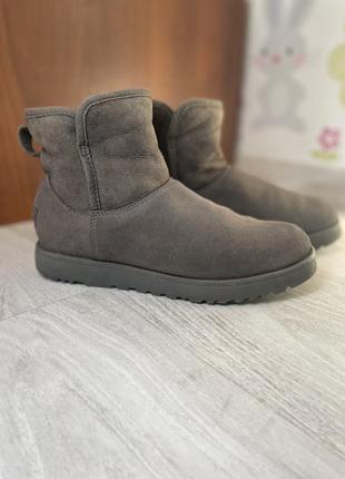 Сапоги ugg 4
