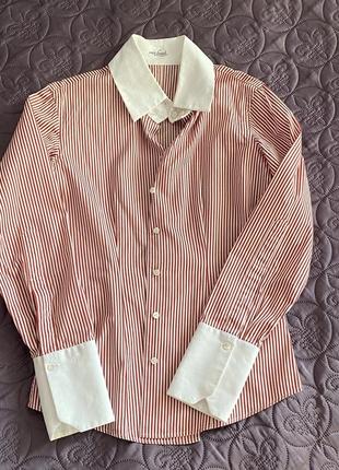 Сорочка класична