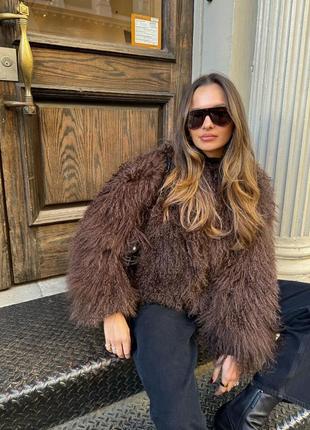 Неймовірна шоколадна шуба лама