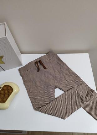 Штанишки лосинки