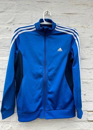 Adidas олимпийка синяя s