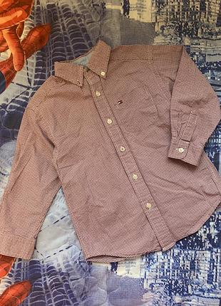 Бавовняна сорочка tommy hilfiger