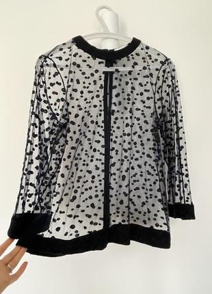 Блуза chloe