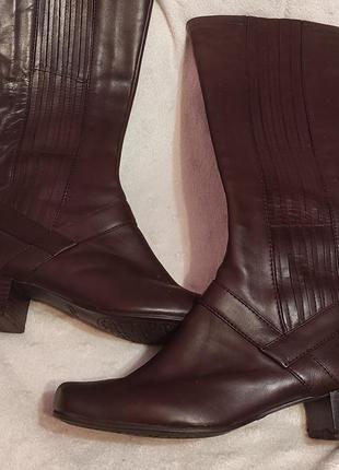 Женские сапоги демисезон кожаные сапоги clarks