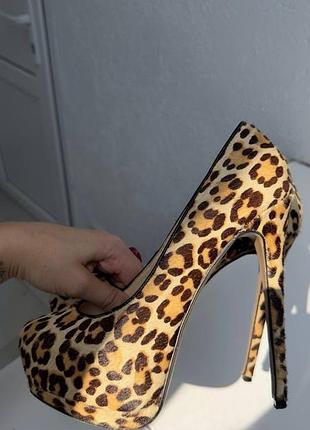 Туфлі на каблуку