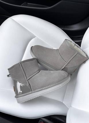 Женские черные короткие угги ugg, женские зимние угги ugg mini, женские теплые мини угги на платформе