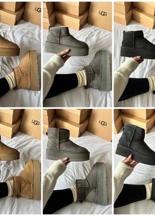 Угги угги угги ugg premium mini platform all colours