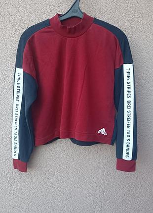 Світшот укорочений adidas спортивна кофта адідас